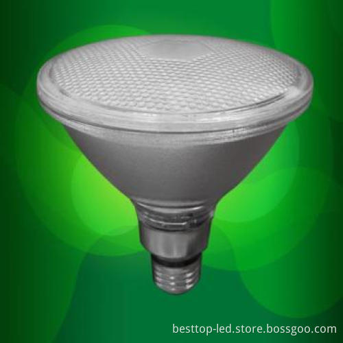 Long Lifespan 3.6W LED PAR30,50000hrs